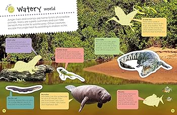 Usborne sticker book Jungle シールブック Jungle (Usborne First Sticker Book): Primmer, Alice, Iossa